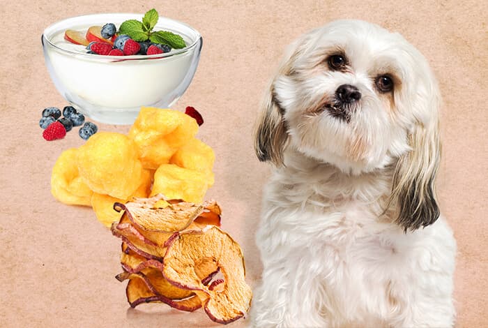 3 Low-Fat Dog Treats