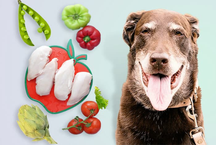 View of 5 Dietary Strategies to Manage Liver Disease in Dogs