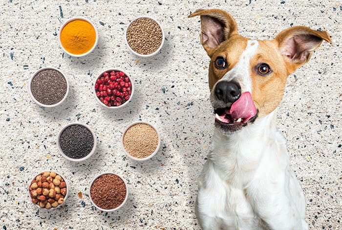5 Easy-to-Make Natural Dog Treats