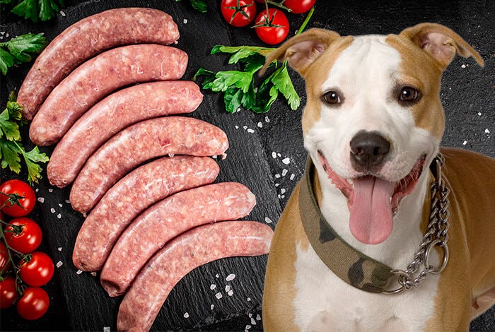 Can Dogs Eat Sausage? 4 Dog-Friendly Sausage Recipes