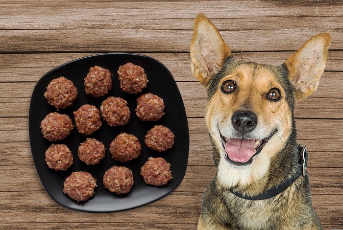 Satin Balls for Dogs:  Benefits, Serving Size, and Recipe