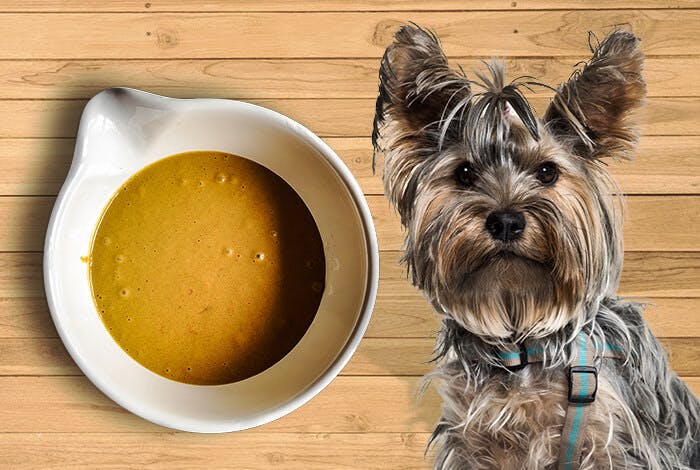 The Perfect Dog Food Topper: 4 Homemade Gravy Recipes