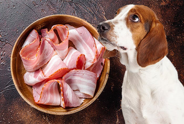 3 Homemade Savory Bacon Dog Treats