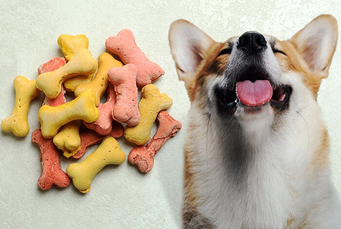 7 Healthy Homemade Dog Biscuit Recipes