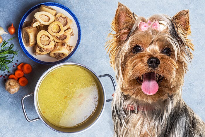 Bone Broth for Dogs: A Superfood for Optimal Canine Health!