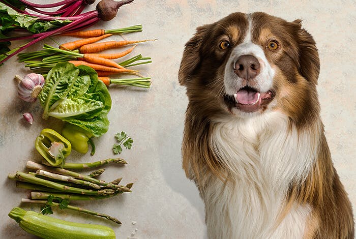 7 Vegetables That Are More Nutritious for Dogs When Cooked