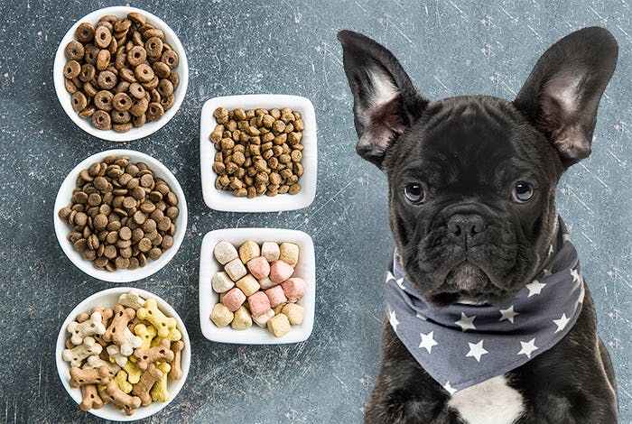 The Pros and Cons of Grain-Free Dog Food