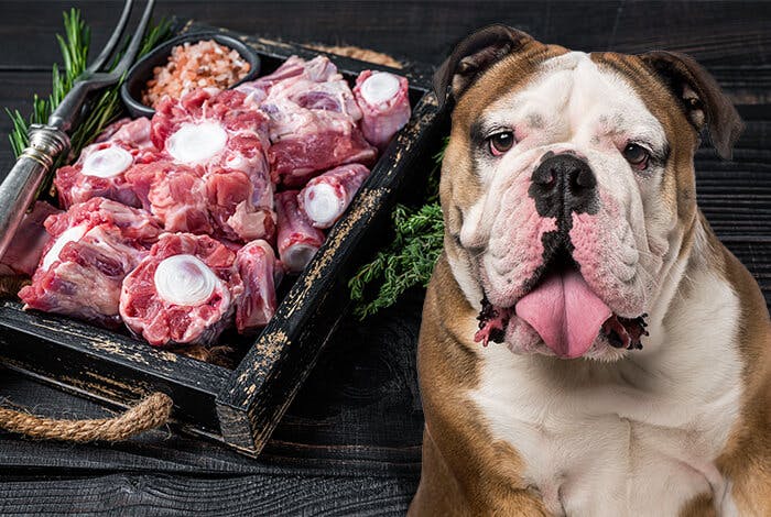 5 Natural Safe Dog Bones for Chewing
