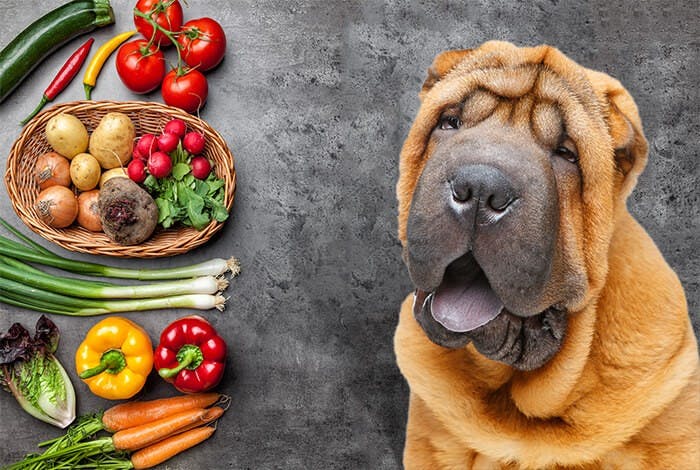 What Vegetables Are Good for Dogs?