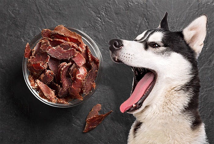 5 Homemade Healthy Jerky for Dogs